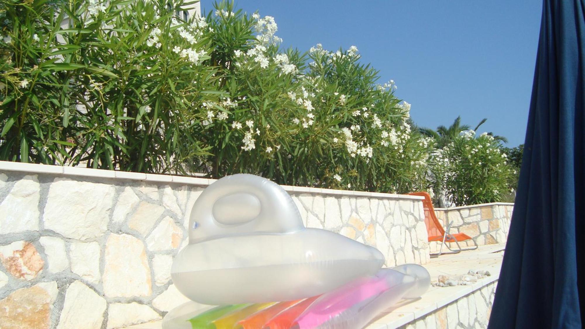 Apartments Niana With Heated Seawater Swimingpool Donji Okrug  Exteriör bild